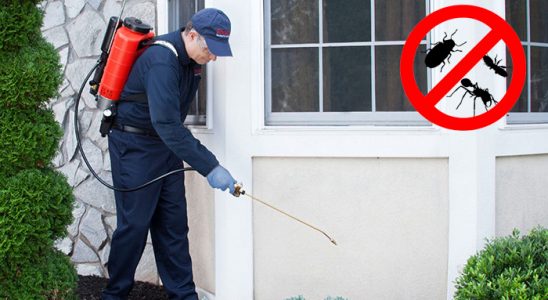 Doğançay Dezenfeksiyon böcek ilaçlama ve haşere kontrolü — ilaclama-tr.com